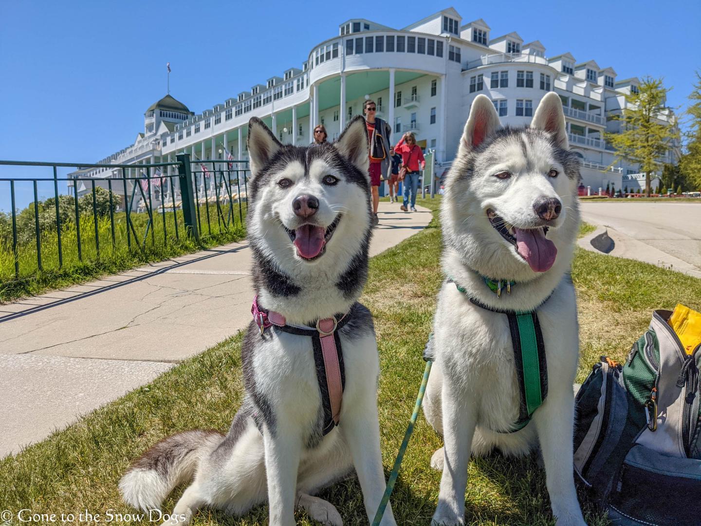 Northern Michigan Camping and Its Hidden Gems – Mackinac Island 