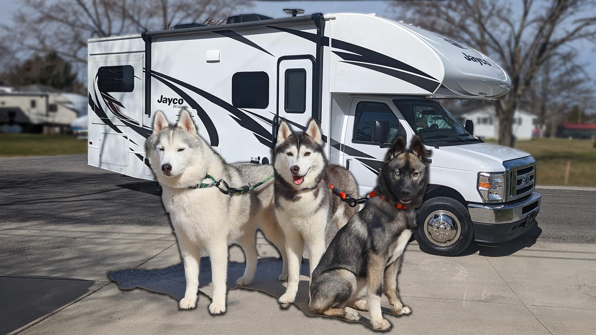 Preparing to Take a Puppy RVing