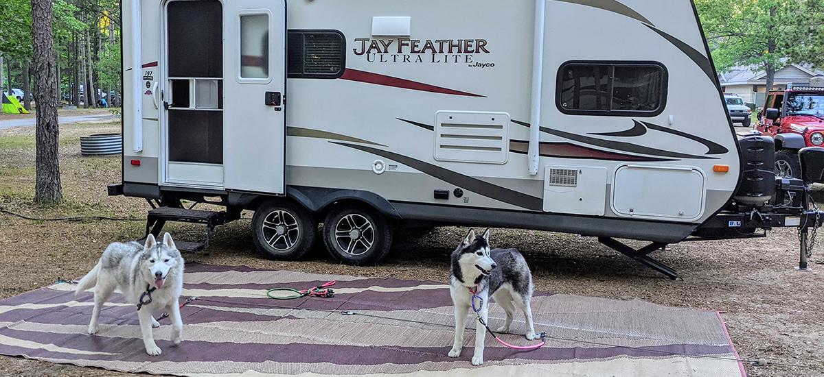 Dog Etiquette at a Campground 