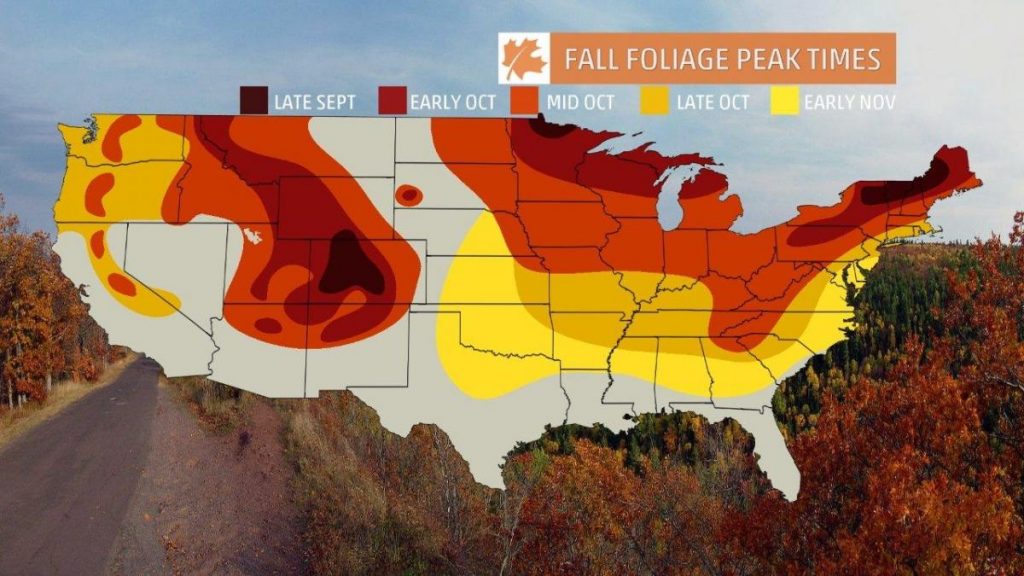 Plan a Trip to See The Stunning Colors of Fall | Jayco Journal | Jayco, Inc